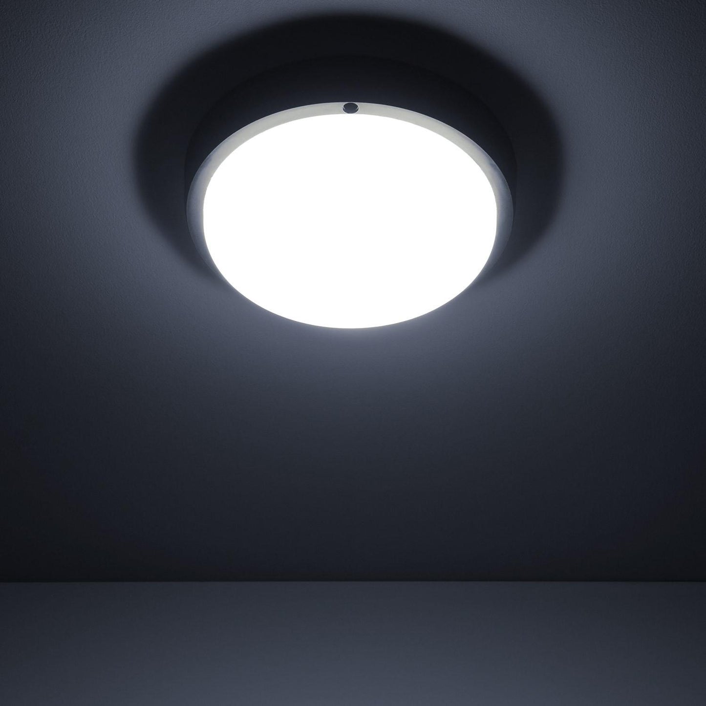 Plafonnier LED Extérieur Hublot 25W IP65 Ø175 mm