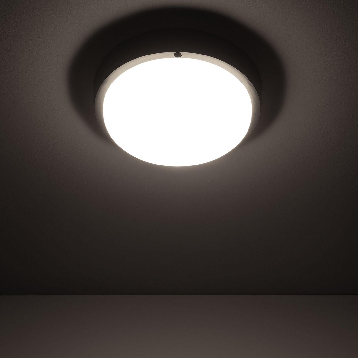 Plafonnier LED Extérieur Hublot 25W IP65 Ø175 mm