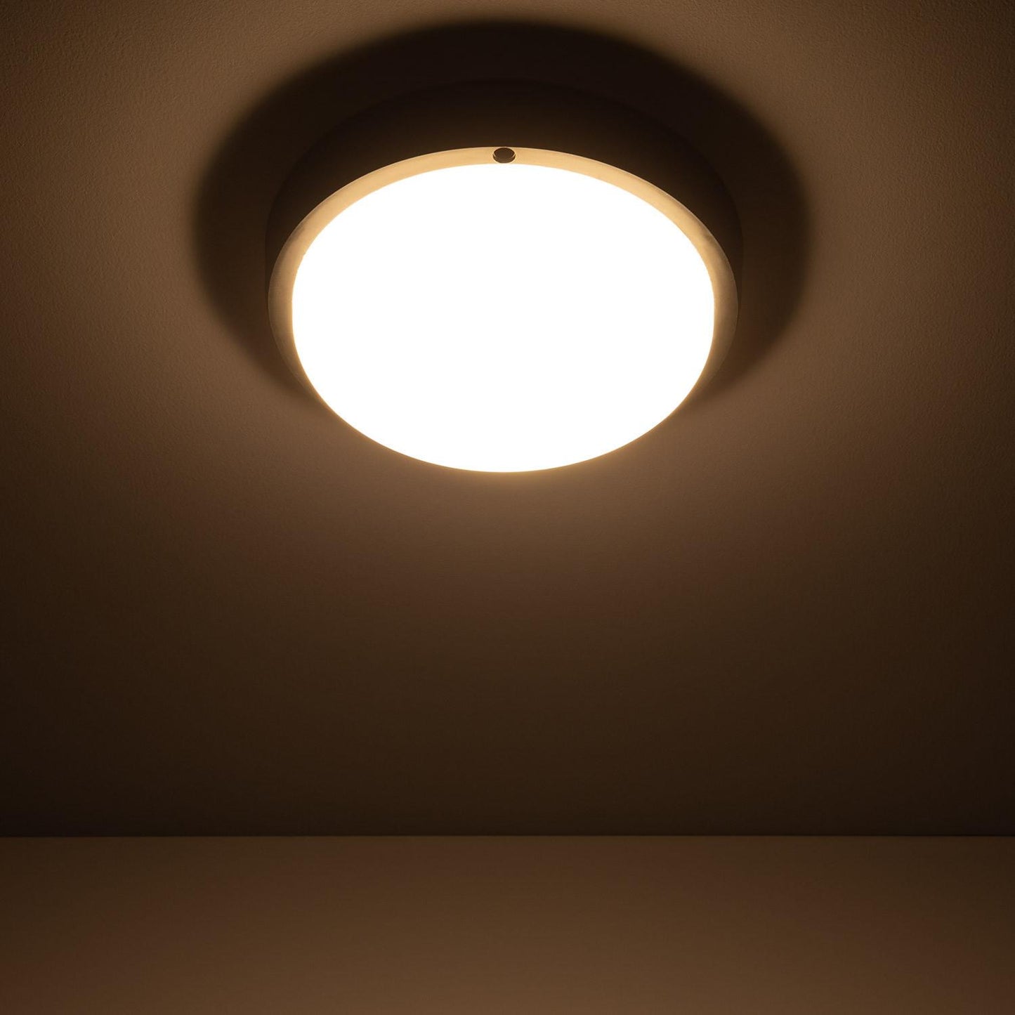 Plafonnier LED Extérieur Hublot 25W IP65 Ø175 mm